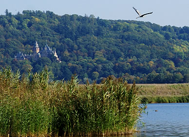 Schloss Wolfsbrunnen in Mitten der Natur