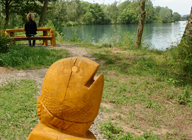 Seerundweg mit lauschigen Sitzplätzen und Infotafeln Flora, Fauna, Kiesgewinnung