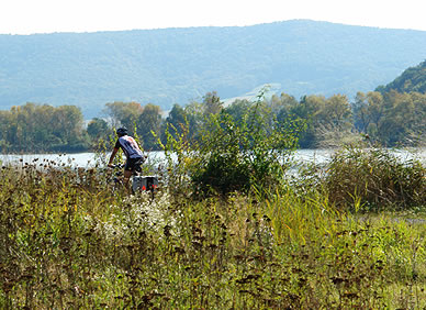 Radfahrer am Werratalsee