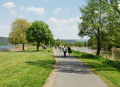 Spazieren, Radeln, Skaten