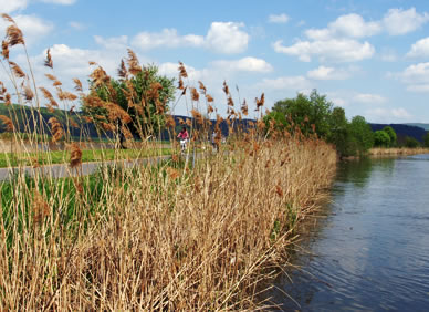 Radfahren am Ufer