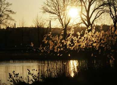 Abendstimmung am Werratalsee