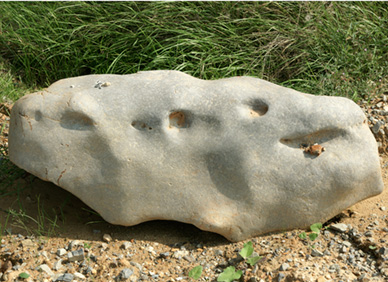 Braunkohlequarzit aus dem Kieswerk Felsberg/Lohre