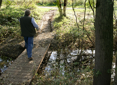 Seerundweg: Brücke zum See