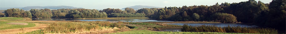 Northeimer Seenplatte