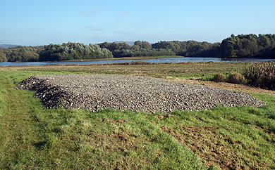 Geschiebesperre Naturschutz