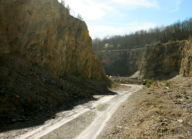 Kalkstein aus Hardegsen